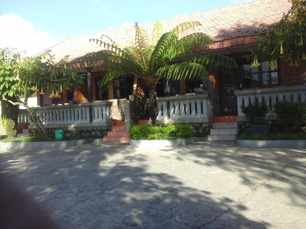 Cemara Indah Hotel Bromo Bagian luar foto